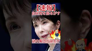自民党を揺るがす、謎の集団が誕生か！ #国会中継 #自民党 #政治 #政治 #防衛 #自 #防衛 #自 #共産党 #共産党 #国民民主党 #立憲民主党