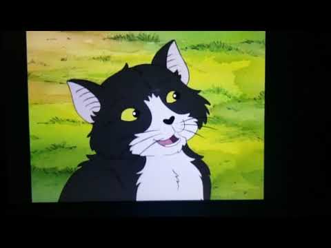 Cat - Little Bear's Tooth