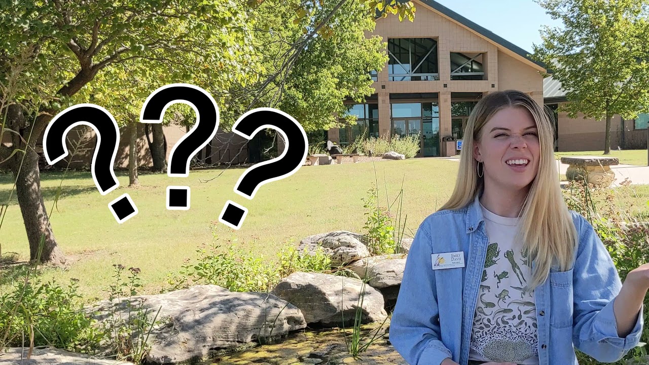 Life Cycles (3rd Grade Virtual Program)