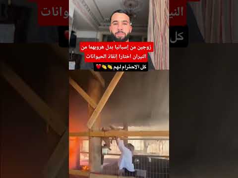 زوجين من إسبانيا بدل هروبهما من النيران اختارا إنقاذ الحيوانات