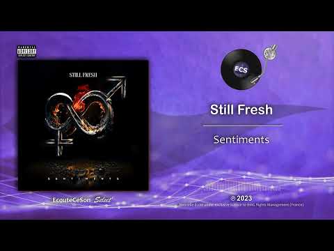 Still Fresh - Sentiments |[ French Afro Pop ]| 2023