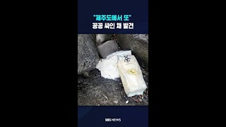"제주도에서 또" 꽁꽁 싸인 채 발견 #shorts