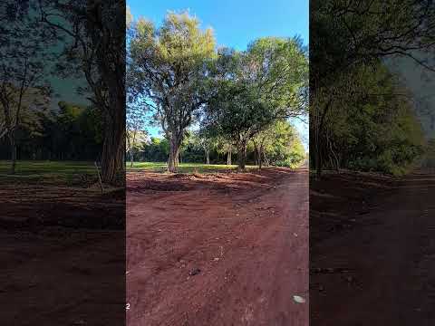 TU PRÓXIMO TERRENO ESTA EN CORONEL BOGADO-PY , a 1000mts de Ruta1 y chipa Tia. #todos #coronelbogado