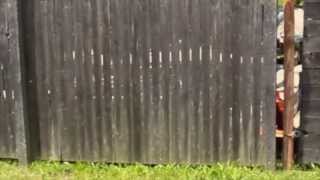 555 CROWN STREET by Augustus Pablo (Video by Joe Ferry) from CD "CONNECTED"