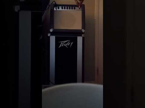 Custom Mini Amp Head (Dean M-16) image 6