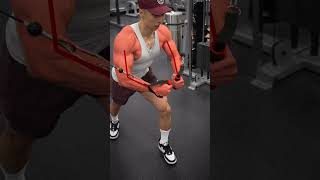 Standing Cable Chest Press demonstration thumbnail