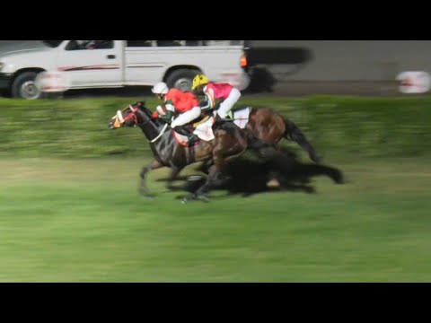 4th Race 1000 Meter Winner Black Tiger | Ridden By Jockey Awais Anjum Trained By Ehsan Ali |