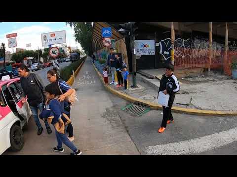 Respect the Bike Lane... Or Not