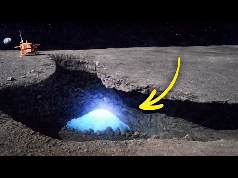 youtube-社会・政治・ビジネス記事2026/01/23 16:33:15