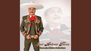 Si Dios Me Quita la Vida Lyrics English Translation