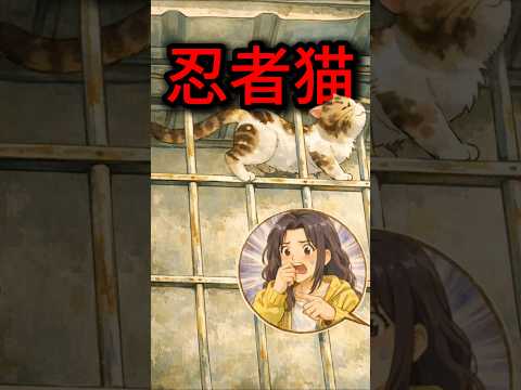 忍者みたいな猫…そんな動きできるの！？