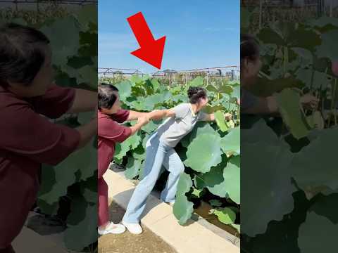 She wants to send the most beautiful flowers to her mother.#shrots