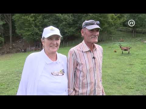 Ljubav traje 50 godina: Vladimir i Nevenka se vratili prirodi
