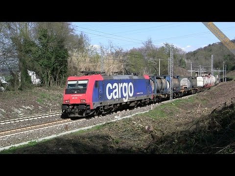 484 019 SBB Cargo per Trenitalia a Settebagni - SBB Cargo 484 019 for Trenitalia in Settebagni