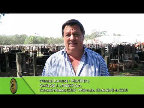 10-04-19 - Manuel Lanusse - Martillero - Carlos J. Lanser - C.Moldes (CBA)