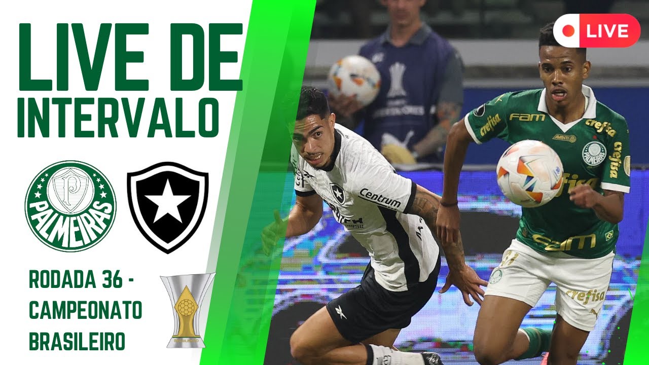 LIVE DO INTERVALO PALMEIRAS X BOTAFOGO - RODADA 36 DO CAMPEONATO BRASILEIRO 2024