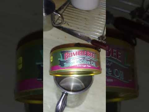 download lagu mp3 mp4 Italian Tuna In Oil, download lagu Italian Tuna In Oil gratis, unduh video klip Italian Tuna In Oil