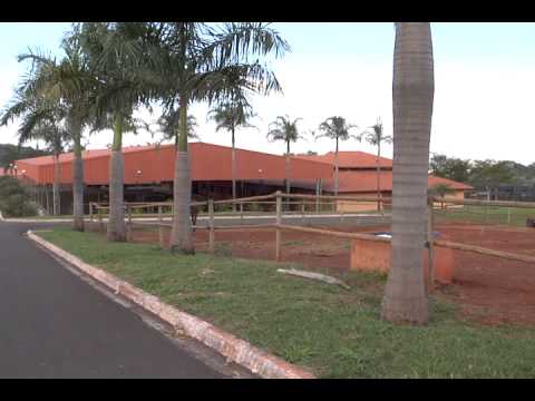 HARAS E RAÇAS - HARAS MANOEL LEÃO (SEGUNDA-FEIRA)