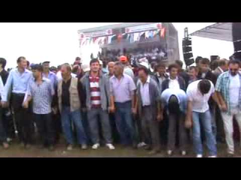 Video 8