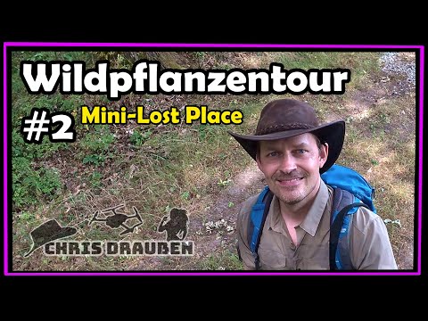 Wildpflanzen-Tour #2 mit Mini-Lost-Place, Wanderung