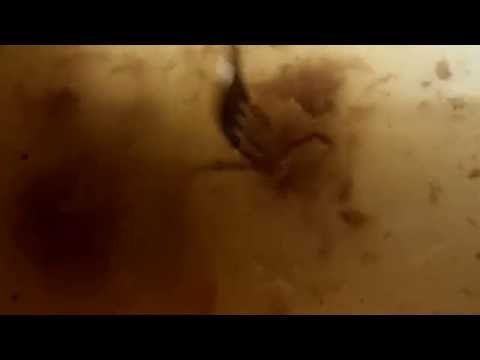 Nawala ko ang 25 kg sa 6 na buwan Download ng mga video nang walang registration pagsasanay para sa pagbaba ng timbang