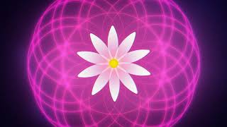 Elohim - braindead (breathwork video)