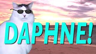 HAPPY BIRTHDAY DAPHNE! - EPIC CAT Happy Birthday Song