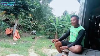 Download lagu Lombok Village, Kalimantan, Feels Like You're in the Land of the Sasak, Lombok - The Life of Lomb... mp3