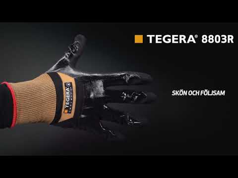 TEGERA® 8803R Infinity Product Education (SE)