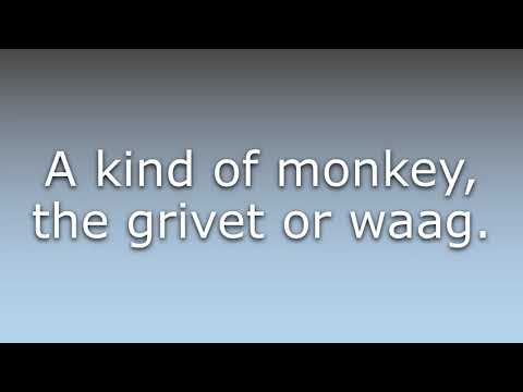 What does Tota mean?