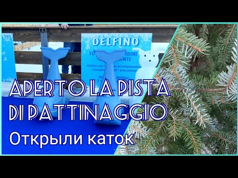 Открыли каток и поставили ёлочку. Милан 🎄 Hanno aperto la pista e messo l'albero di Natale. Milano