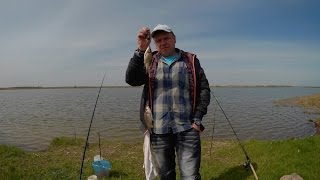 Ловля карася весною на донку