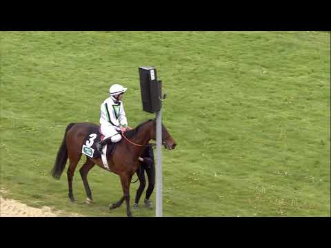 Galopprennbahn Dresden - 05.05.2019 - Rennen 8