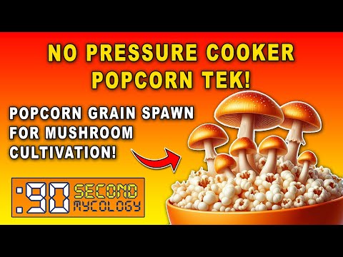 Grow Gourmet Mushrooms Fast with Popcorn Tek—No Pressure Cooker Needed