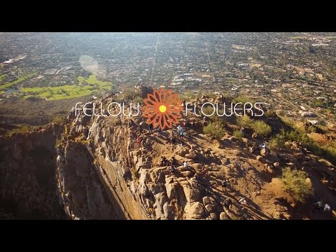 Fellow Flowers - Customer Success Story (MEL - Co-Founder)