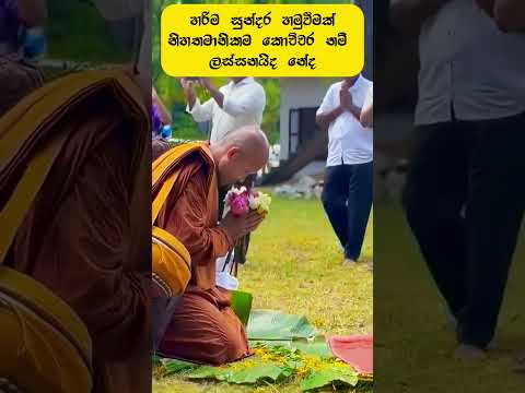 නිහතමානිකම තරම් සුන්දර දෙයක් තවත් තිබේද #emotional #empathy #politesociety #peacewalk #srilanka