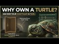 Why Own A Turtle The Longevity Secret