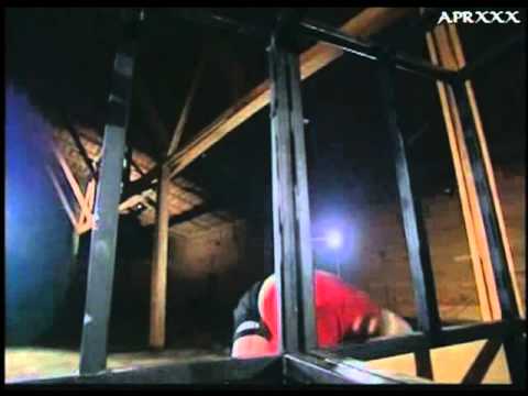 MAGNUS SAMUELSSON POWER