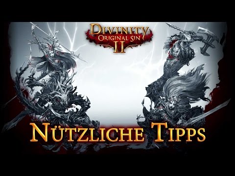 Divinity Original Sin 2 - Useful Tips