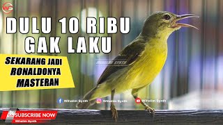 Download lagu MASTERAN KOLIBRI MANGGAR BETINA FULL NGECRET PANJANG ! mp3 Download lagu MASTERAN KOLIBRI MANGGAR BETINA FULL NGECRET PANJANG ! mp3