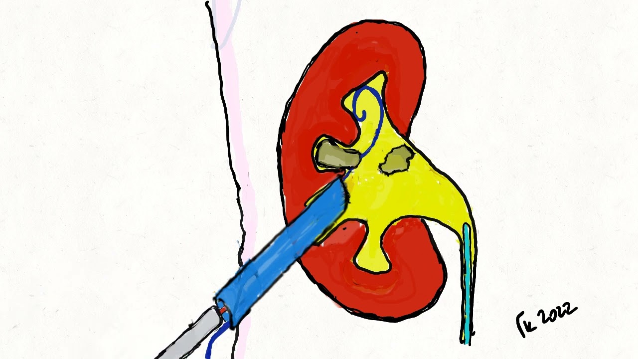 Jorge Esteban Magaña González-21