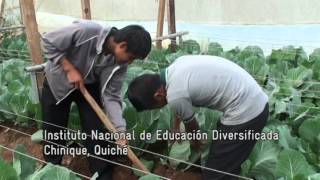 EDUVIDA Emprendimiento - Corto 1