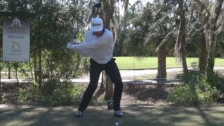 Adam Scott Driver Swing Slow Motion म फ त