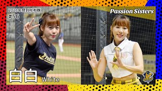 【台湾チア】白白 White / Passion Sisters / 2023年見到啦啦隊 #56 [中文歌詞]