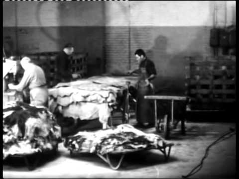 KVL Trilogie – deel 1 – Beeldbank Oisterwijk