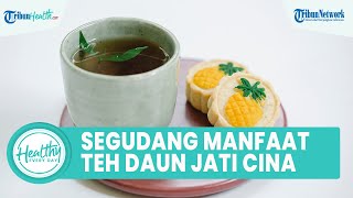 Segudang Manfaat Teh Daun Jati Cina bagi Kesehatan, Turunkan Berat Badan hingga Cegah Risiko Kanker