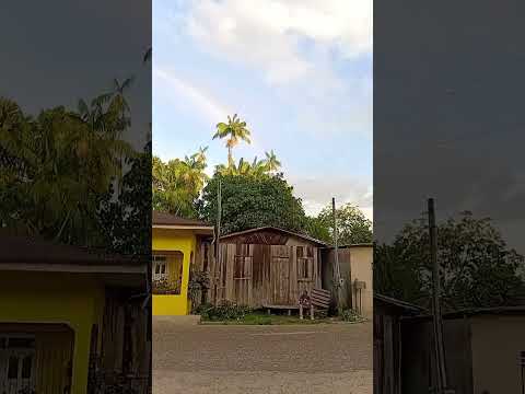 CARAUARI AMAZONAS