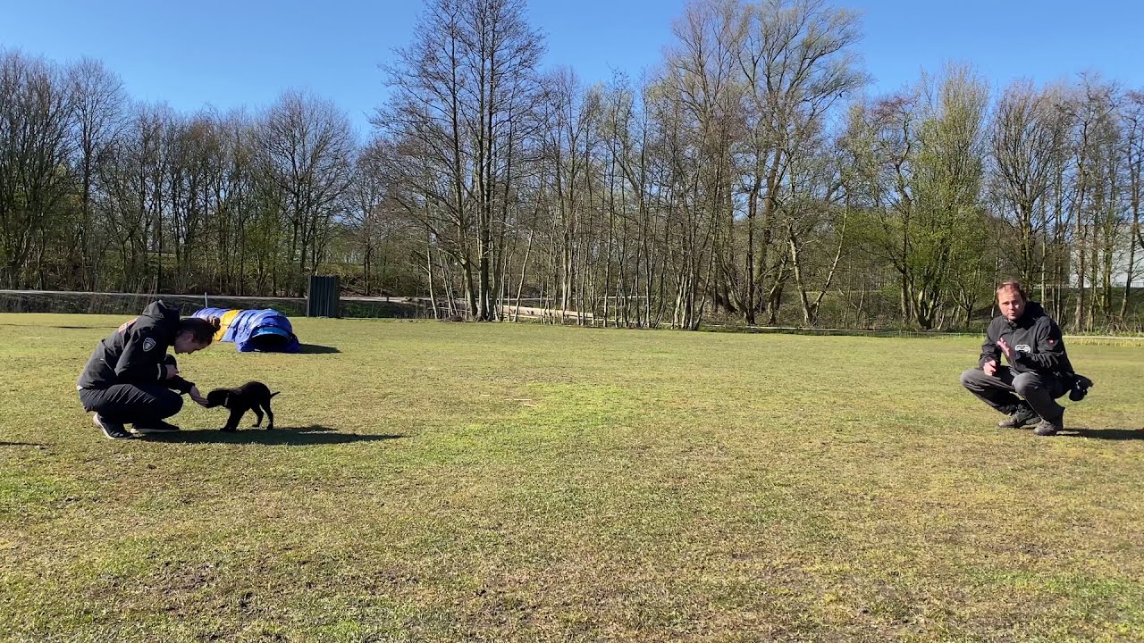 video image