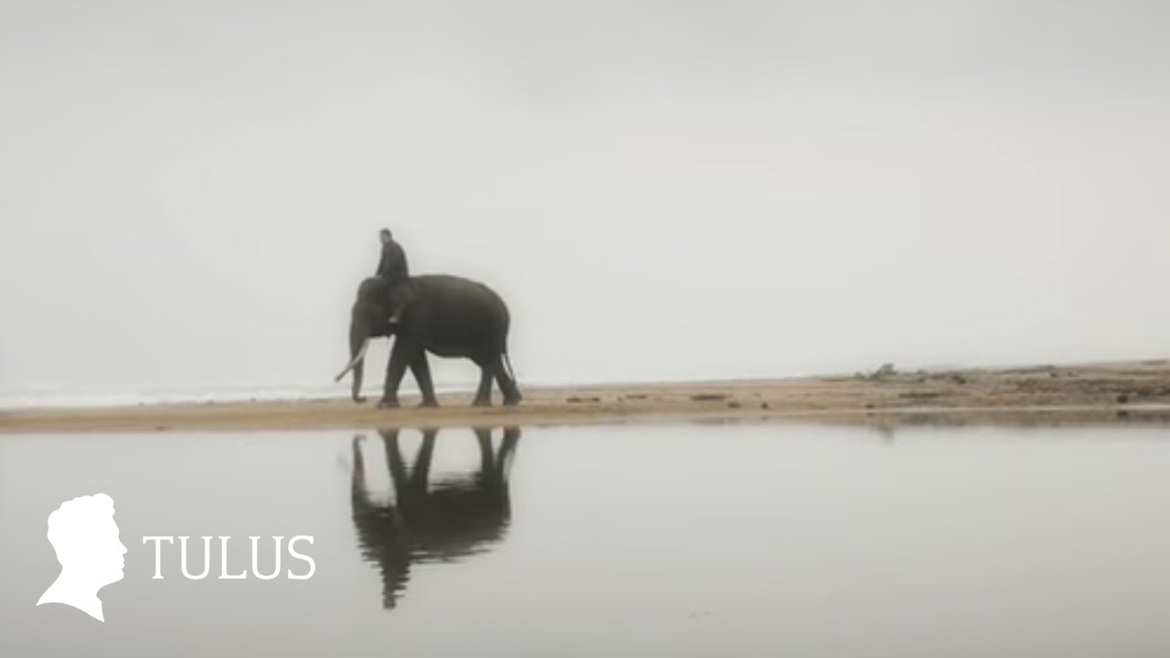 Lirik lagu dan Chord Gitar Tulus Gajah Tribun Video Lirik lagu dan Chord Gitar Tulus Gajah Tribun Video