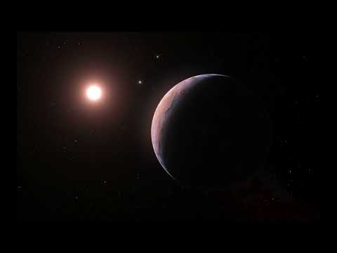 Klaus Schulze & Pete Namlook - The Dark Side Of The Moog (Box 3 - Vol/11)